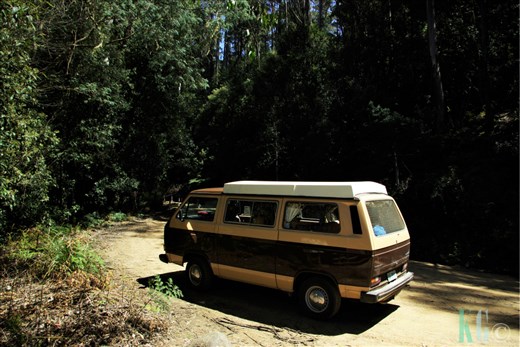 Kombi on Lake Dobson Road