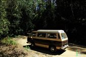 Kombi on Lake Dobson Road: by kirstygirl, Views[218]