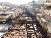 by kish, Views[120]