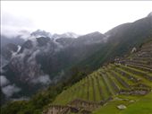 by kish, Views[124]
