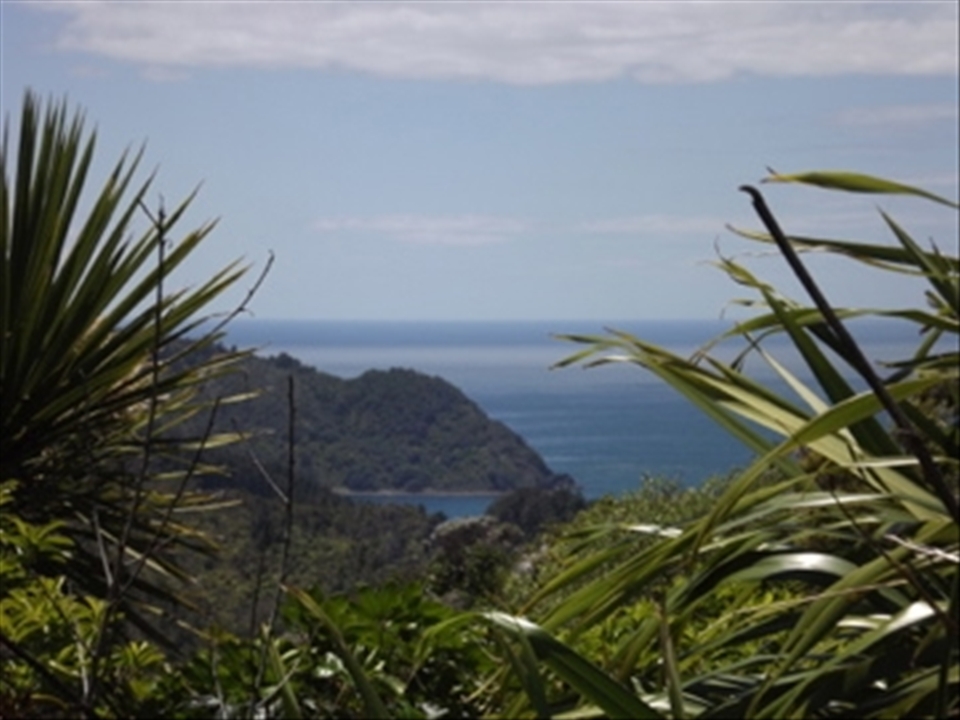 In the coromandel!!!!!