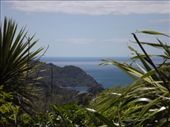 In the coromandel!!!!!: by kitedogluke, Views[309]