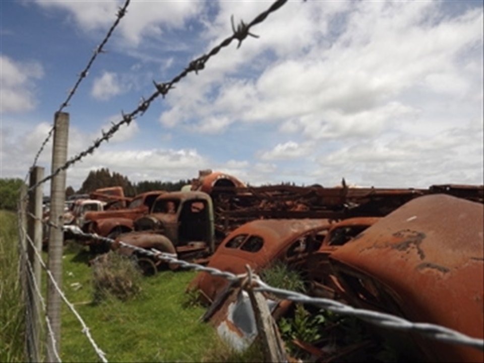 Rusty gold near Mount Ruapehu.