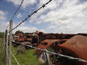 Rusty gold near Mount Ruapehu.: by kitedogluke, Views[309]
