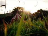 A small circus tent on a Campsite in Dorset.: by kiteflyer, Views[327]
