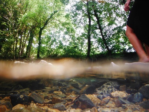 We all dip under and over water. Taken in La Seyne Sur Mer, France.