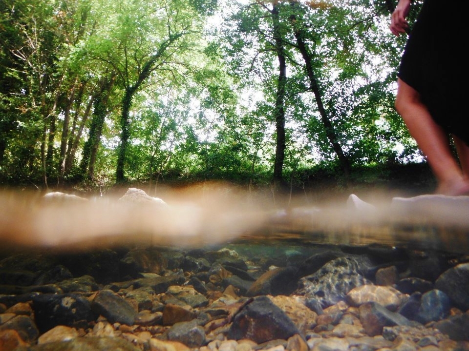 We all dip under and over water. Taken in La Seyne Sur Mer, France.