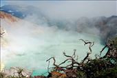 Stunted trees line the rim of the Mt Ijen crater in East Java, while sulphur-drenched volcanic fumes drift over the azure lake.: by kithamilton, Views[647]