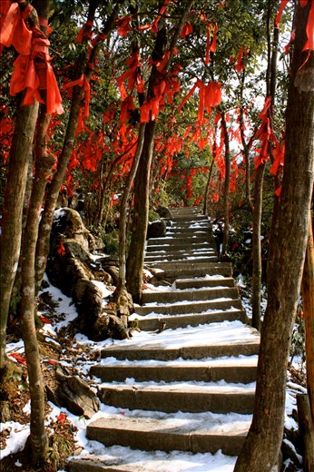 Love Ribbons Tianzishan