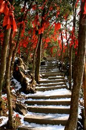 Love Ribbons Tianzishan: by kittong, Views[356]