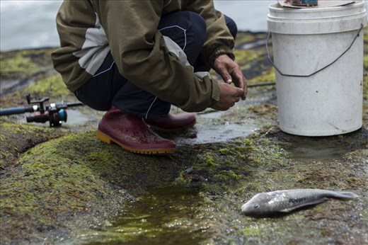 It can be a long day here fishing Chit says as his friend pulls in a small fish. They often stay late into the night fishing. He says they catch all sorts of fish including snapper, kahawi, trevally. I ask Chits unspoken friend if he is happy with his catch? He just looks and smiles.  