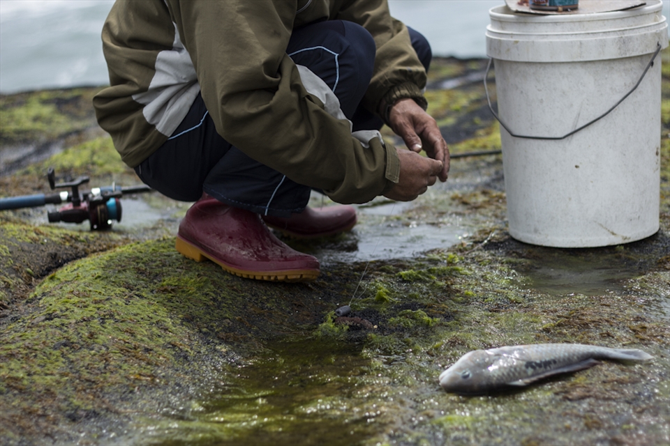 It can be a long day here fishing Chit says as his friend pulls in a small fish. They often stay late into the night fishing. He says they catch all sorts of fish including snapper, kahawi, trevally. I ask Chits unspoken friend if he is happy with his catch? He just looks and smiles.  