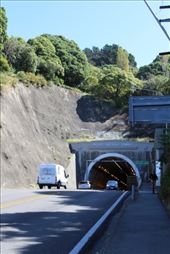 by kiwiaoraki, Views[137]