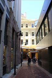 by kiwiaoraki, Views[144]