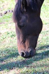 by kiwiaoraki, Views[181]