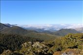 by kiwiaoraki, Views[194]