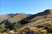by kiwiaoraki, Views[197]