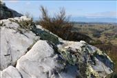 by kiwiaoraki, Views[125]