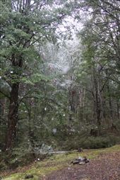 by kiwiaoraki, Views[1514]