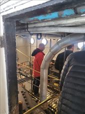 by kiwiaoraki, Views[102]