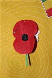 by kiwiaoraki, Views[1145]