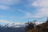by kiwiaoraki, Views[184]