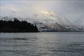 by kiwiaoraki, Views[218]