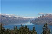 by kiwiaoraki, Views[186]