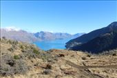 by kiwiaoraki, Views[203]