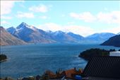 by kiwiaoraki, Views[86]