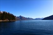 by kiwiaoraki, Views[90]