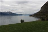 by kiwiaoraki, Views[96]