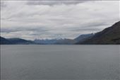 by kiwiaoraki, Views[66]