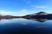 by kiwiaoraki, Views[185]