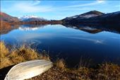 by kiwiaoraki, Views[1236]