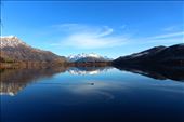 by kiwiaoraki, Views[179]