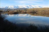 by kiwiaoraki, Views[218]