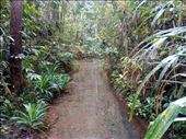 by kiwiaoraki, Views[76]