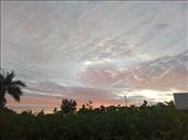 by kiwiaoraki, Views[104]