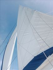 by kiwiaoraki, Views[53]