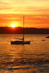 by kiwiaoraki, Views[149]