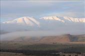 by kiwiaoraki, Views[351]