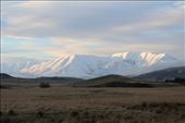 by kiwiaoraki, Views[390]