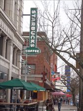 by kiwiaoraki, Views[144]