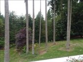 by kiwiaoraki, Views[201]
