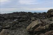 by kiwiaoraki, Views[450]