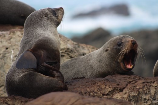 Like Fishing? Big Catch? 