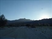 by kiwiaoraki, Views[472]