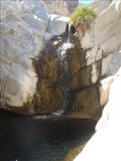 by kiwiaoraki, Views[160]