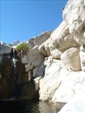 by kiwiaoraki, Views[127]